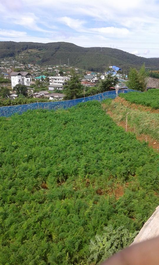 Hotel Rainyfreindz Nuwara Eliya Zewnętrze zdjęcie