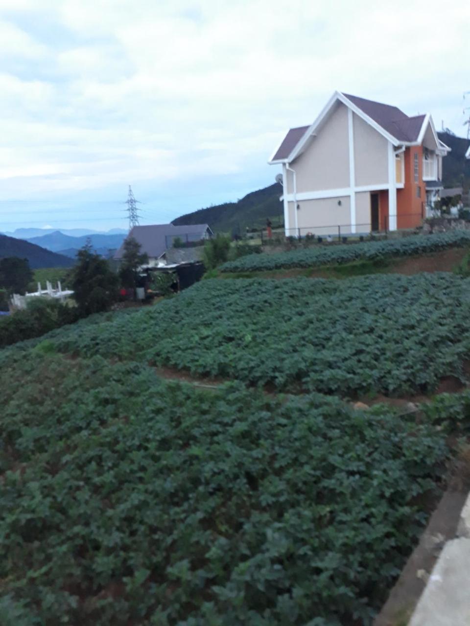 Hotel Rainyfreindz Nuwara Eliya Zewnętrze zdjęcie