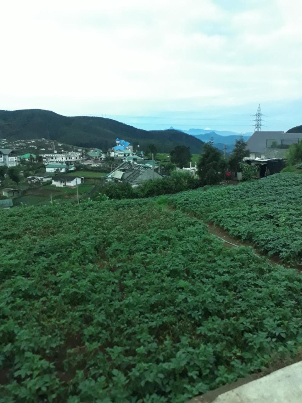 Hotel Rainyfreindz Nuwara Eliya Zewnętrze zdjęcie